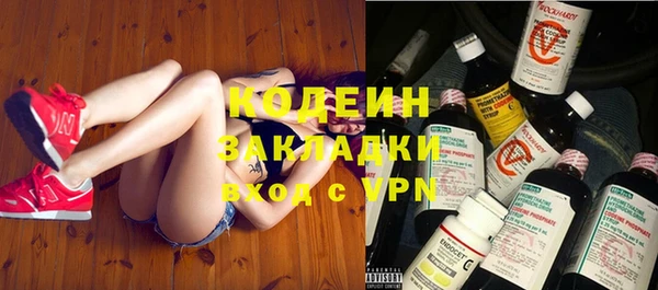 PSILOCYBIN Бородино